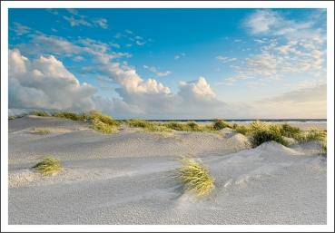 20033039 - Editionspostkarte Nordsee