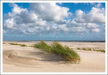 20033040 - Editionspostkarte Nordsee