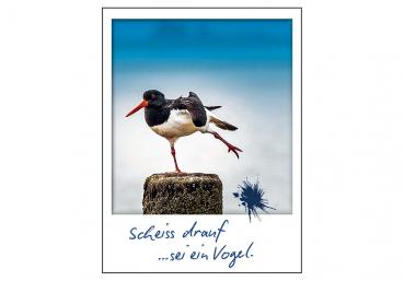 24001054 - Polaroid "scheiss drauf..."