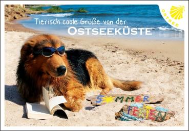 25010210 - Editions - PK Ostsee quer Hund