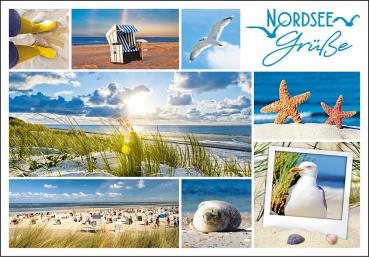 25023008 - Editions - PK "Nordsee Grüße"