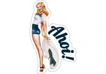 51050206 - Formmagnet Pin up Ahoi