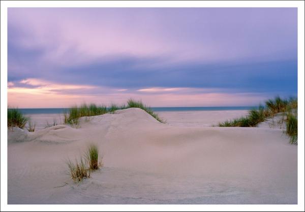 20033008 - Editionspostkarte Nordsee