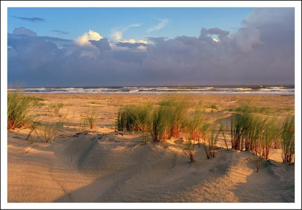 20033010 - Editionspostkarte Nordsee