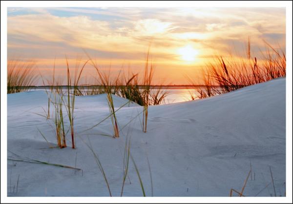 20033014 - Editionspostkarte Nordsee