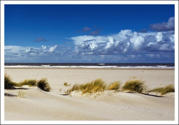 20033025 - Editionspostkarte Nordsee