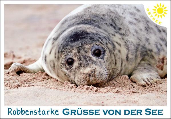 25010181 - Editions - PK Ostsee quer Robbe