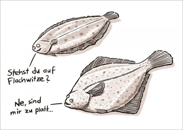 25027026 - Postkarte Küsten Cartoons "Flachwitze"