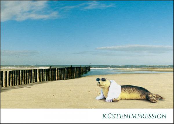 PK-NS001 - Postkarte Nordsee coole robbe